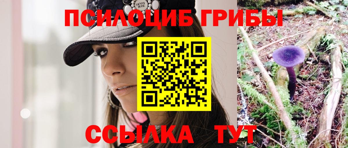 Псилоцибиновые грибы мицелий  Вход с VPN  Прохладный 